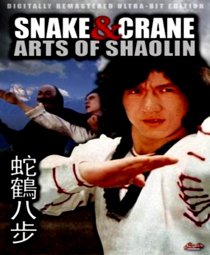 Arta Shaolin