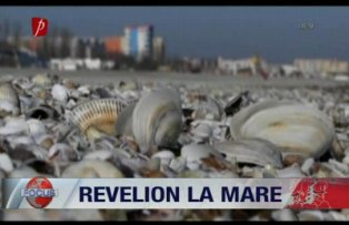 Revelion la mare