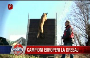 Campioni Europeni la dresaj