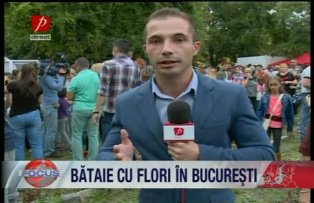 Bataie cu flori in Bucuresti