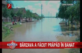 Barzava a facut prapad in Banat