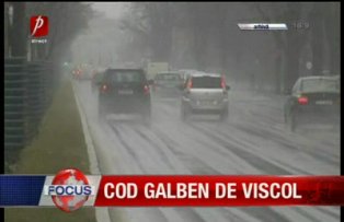 Cod galben de viscol
