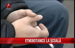 Etnobotanice la scoala