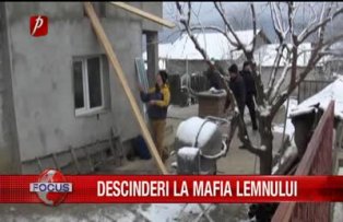 Descinderi la mafia lemnului