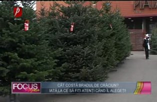 Cât costă bradul de Crăciun? Iată la ce să fiţi atenţi când îl alegeţi!