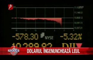 Dolarul ingenuncheaza leul