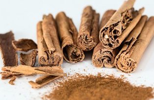 La ce se foloseste scortisoara. Top 5 avantaje pentru sanatate