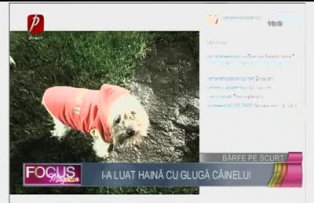 Andreea Bănică i-a luat haină cu glugă câinelui