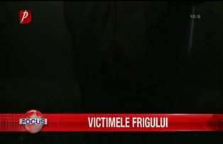 Victimele frigului