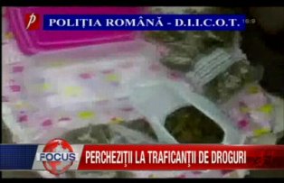 Perchezitii la traficantii de droguri