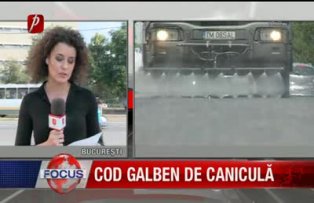 Cod galben de canicula