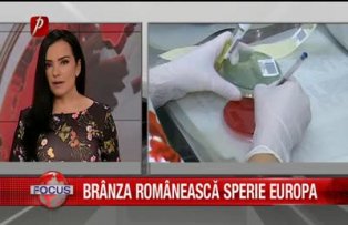 Brânza românească sperie Europa
