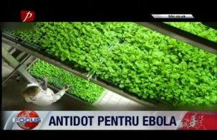 Antidot pentru EBOLA