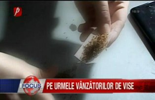 Pe urmele vanzatorilor de vise