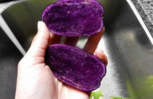 Leguma violet care te protejeaza de cancer