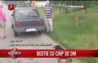 Bestie cu chip de om
