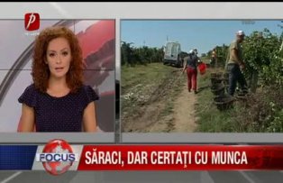 Săraci dar certaţi cu munca