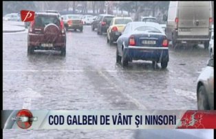 Cod galben de vant si ninsori