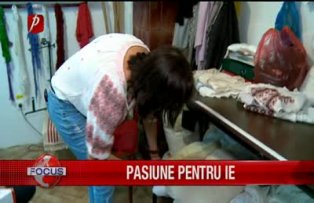 Pasiune pentru ie