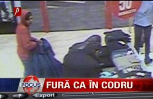 Fura ca in codru
