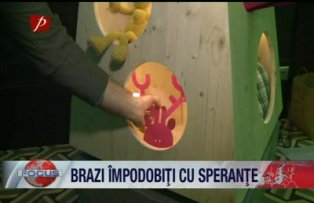 Brazi impodobiti cu sperante