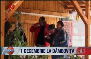 1 Decembrie la Dambovita
