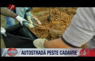 Autostrada peste cadavre