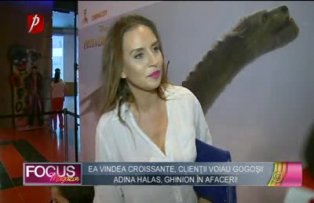 Adina Halas, ghinion in afaceri