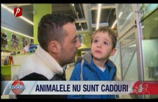 Animalele nu sunt cadouri