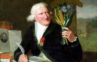 Cum a ajuns cartoful alimentul de baza al romanilor si ce prevedea primul tratat gastronomic din 1818