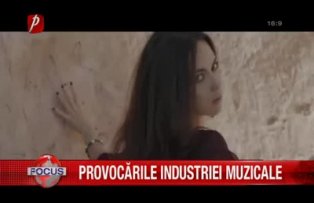 Provocarile industriei muzicale