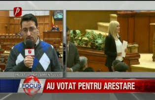 Udrea la votul colegilor