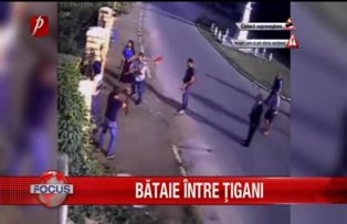 Bataie intre tigani
