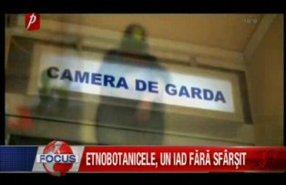 Etnobotanicele un iad fara sfarsit