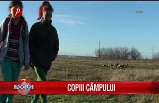 Copiii campului