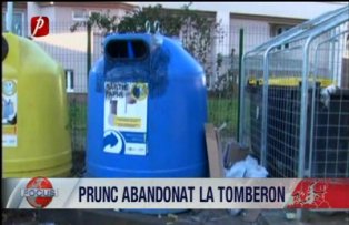 Prunc abandonat la gunoi
