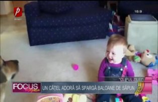 Clipul zilei: un căţel adoră să spargă baloane de săpun