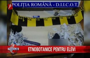 Etnobotanice pentru elevi