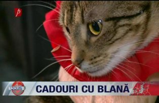 Cadouri cu blană