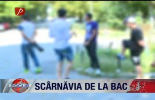Scarnavia de la bac