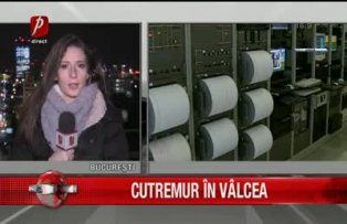 Cutremur in Valcea