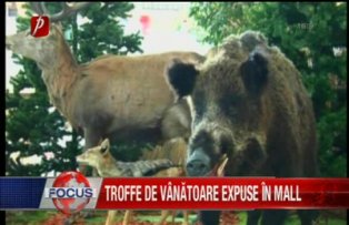Trofee de vânătoare expuse în mall