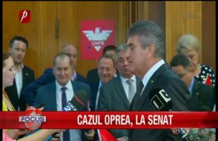 Cazul Oprea la senat