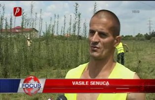 Muncesc pentru libertate