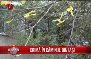 Crima in caminul dinm Iasi