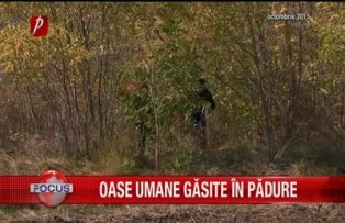 Oase umane gasite in padure