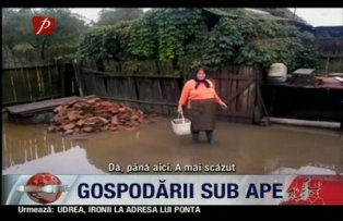 Gospodarii sub ape