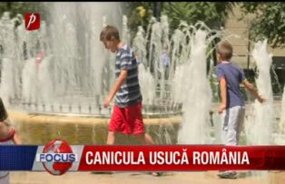 Canicula usucă România