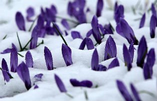 Cum va fi vremea pana la 1 martie. Prognoza meteo pentru toata tara