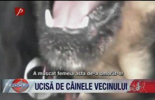 Ucisa de cainele vecinului